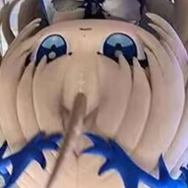数据员
